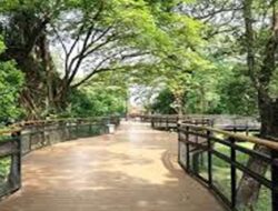 8 Tempat Wisata Liburan Akhir Tahun di Solo, Murah Meriah!