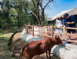 5 Ragam Wisata Solo Ramah Anak untuk Liburan Akhir Tahun!