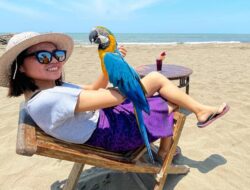 5 Rekomendasi Wisata Batang dengan Panorama Indah Menawan!