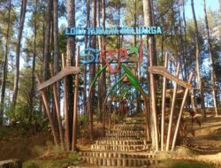 7 Wisata Purworejo yang Indah Bisa Jadi Spot Liburan Nataru