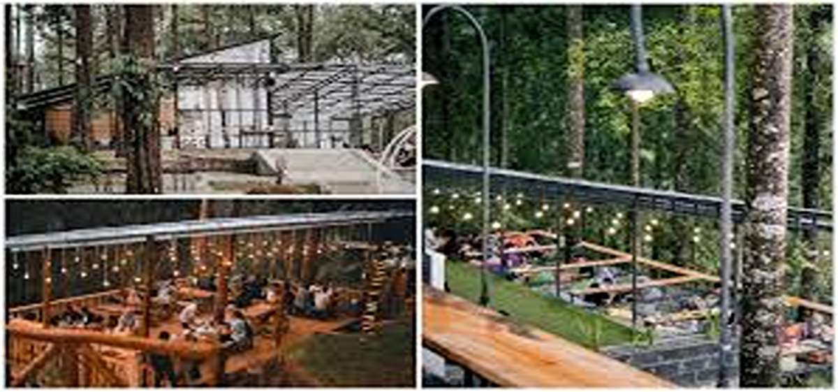 ragam pilihan cafe asyik