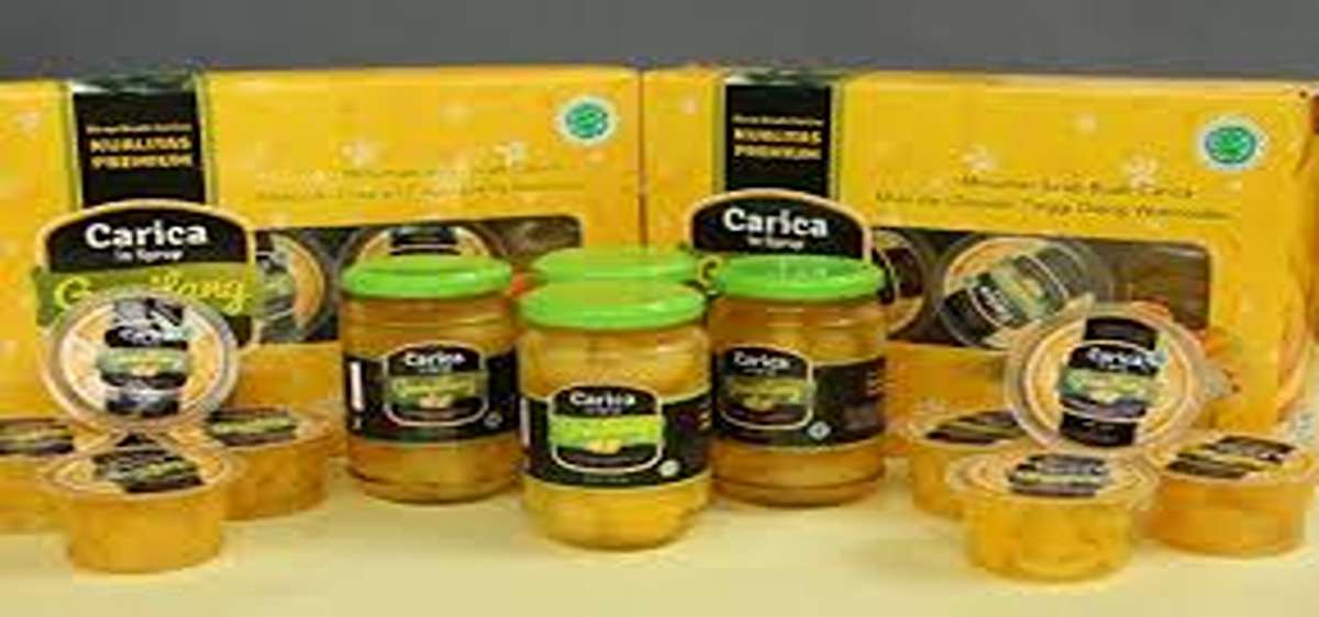 oleh-oleh khas banjarnegara