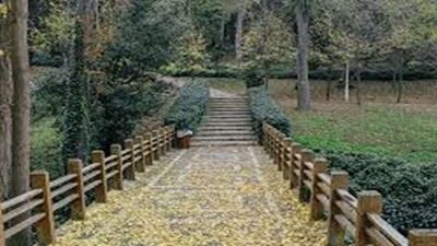 Rekomendasi Pilihan Wisata Viral di Kendal, Seru dan Berkesan!