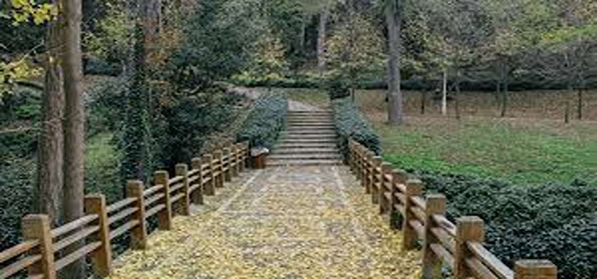 pilihan wisata viral