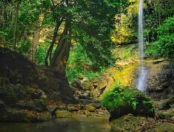 Rekomendasi Wisata Grobogan, Wajib Masuk Bucket List Liburan