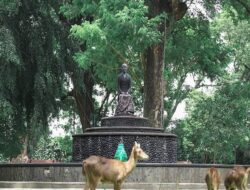 7 Rekomendasi Wisata Anak di Solo yang Seru dan Edukatif