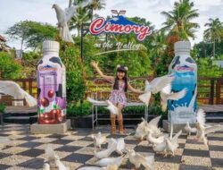 6 Wisata Edukasi di Semarang, Liburan Sambil Tambah Wawasan