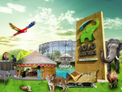 7 Lokasi Wisata Menarik di Solo Sedang Viral! Nomor 2 Membuat Kamu Ingin Datang Lagi!