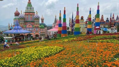 Taman Bunga Celosia, salah satu wisata Bandungan Semarang