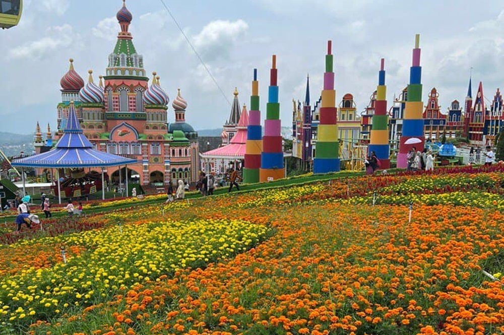 Taman Bunga Celosia, salah satu wisata Bandungan Semarang