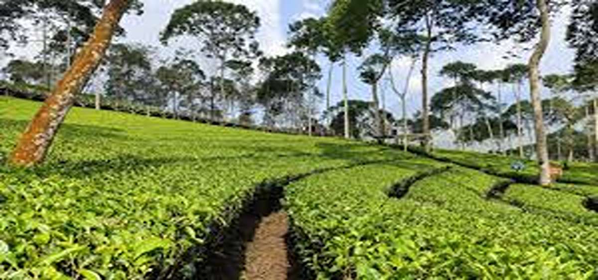 wisata alam sejuk solo