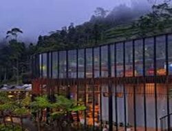 Yuk Cobain 8 Cafe Asyik dan Estetik di Purbalingga, Nyaman!