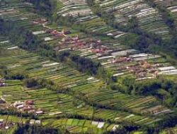 Jejak Pemandu Ilegal, Kisah 7 Pendaki Gunung Merapi Via Boyolali